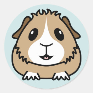 Cartoon Guinee Varkenshaar Ronde Sticker
