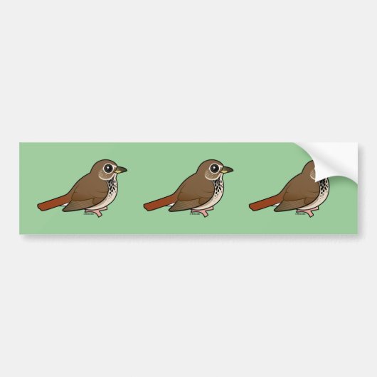 Cartoon Hermit Thrush Bumpersticker (Voorkant)