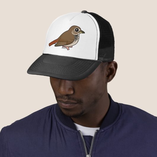 Cartoon Hermit Thrush Trucker Pet (In situ)