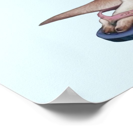 Cartoon Kangaroo Poster (Hoek)