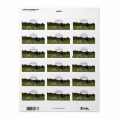 Cartoon Kat en vogels Adres Etiket (Full Sheet)