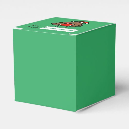 Cartoon Kerstmis Robin Fun Kinder Bedankdoosjes (Voorkant Zijde)