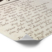 Cartoon klaagt over het rampzalige experiment poster (Hoek)