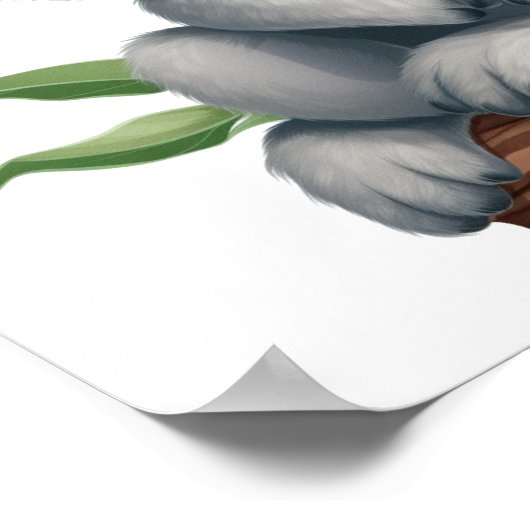 Cartoon koala illustratie poster (Hoek)