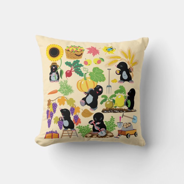 cartoon kussen (Voorkant)