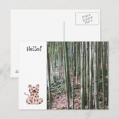 Cartoon Leopard en Bamboe Forest Briefkaart (Voorkant / Achterkant)