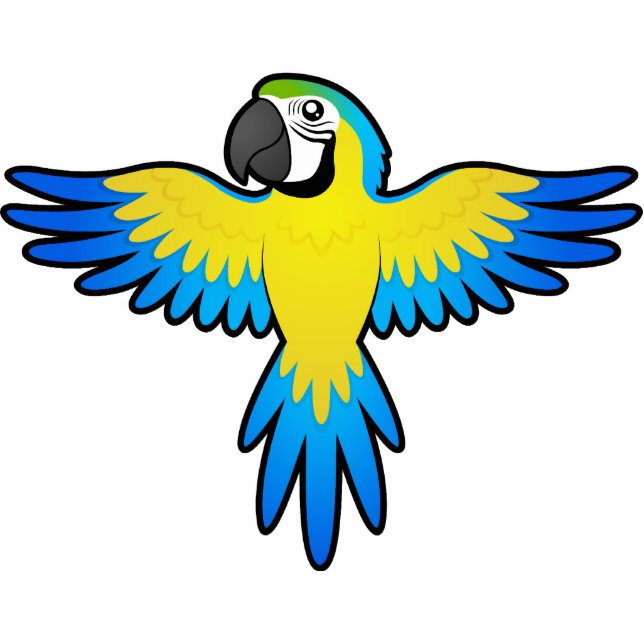 Cartoon Macaw / Parrot Fotobeeldje Magneet (Voorkant)