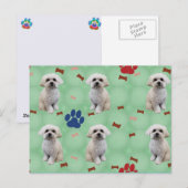 Cartoon Maltees Briefkaart (Voorkant / Achterkant)