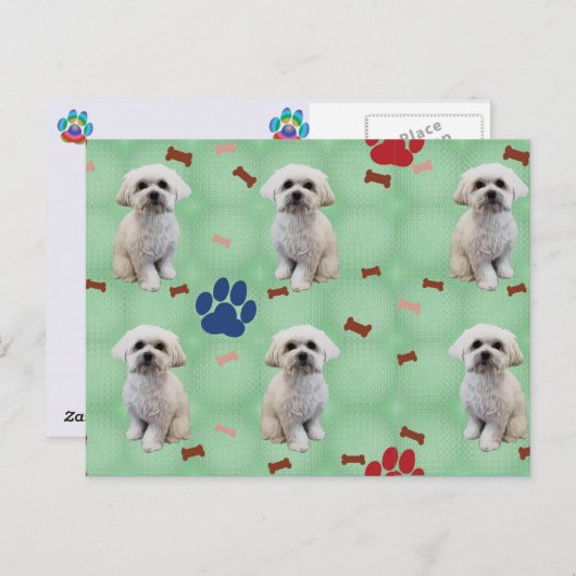 Cartoon Maltees Briefkaart (Voorkant / Achterkant)