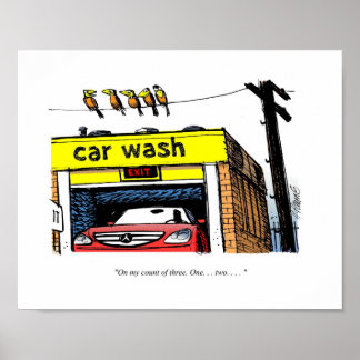 Cartoon Mercedes Car Wash Birds Poster
