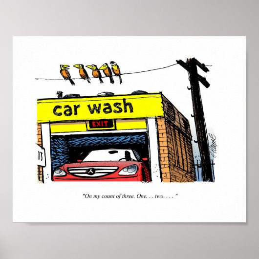 Cartoon Mercedes Car Wash Birds Poster (Voorkant)