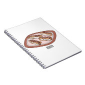 Cartoon met chocolade eclair notitieboek (Rechterzijde)