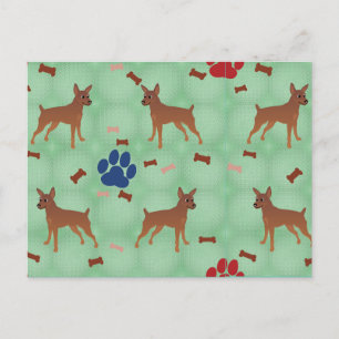 Cartoon Miniature Pinscher Briefkaart
