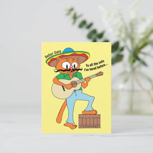Cartoon Mustache Cat Humoureuze Cinco De Mayo Briefkaart (Staand voorkant)