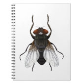 cartoon notitieboek (Voorkant)