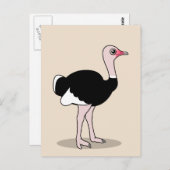 Cartoon Ostrich Briefkaart (Voorkant / Achterkant)