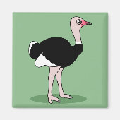 Cartoon Ostrich Magneet (Voorkant)