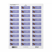 Cartoon Paard Etiket (Full Sheet)
