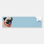 Cartoon Pug Bumpersticker (Voorkant)