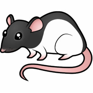 Cartoon Rat Fotobeeldje Magneet