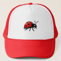 Cartoon Rode Lieveheersbeestje Cute Insect Karakte