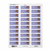 Cartoon Snake Etiket (Full Sheet)