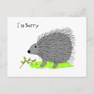 Cartoon Stekelvarken - Sorry Briefkaart