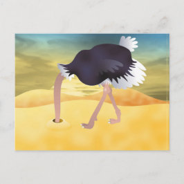 Cartoon struisvogels met kop in zand briefkaart