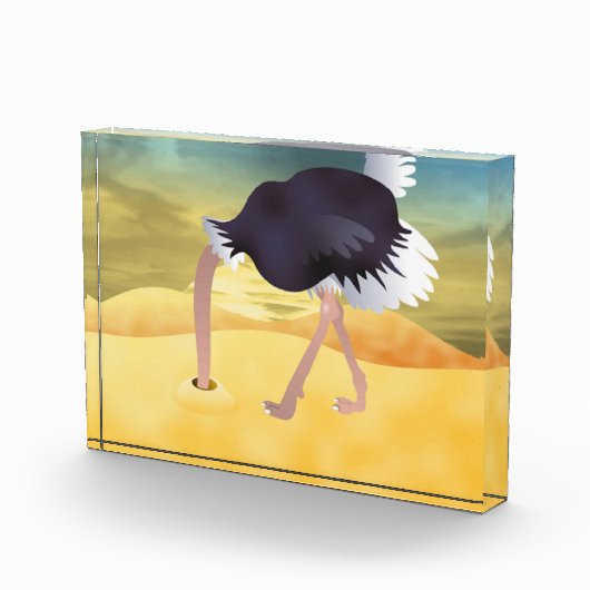 Cartoon struisvogels met kop in zand fotoblokken (Rechts)