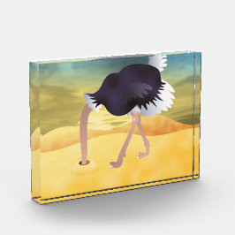 Cartoon struisvogels met kop in zand fotoblokken