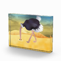 Cartoon struisvogels met kop in zand