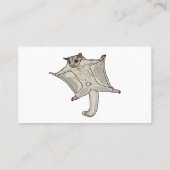 Cartoon suikerzweefvliegtuig visitekaartje (Achterkant)