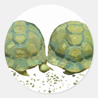 Cartoon Turtles Sticker