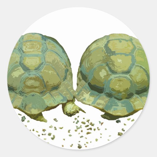 Cartoon Turtles Sticker (Voorkant)