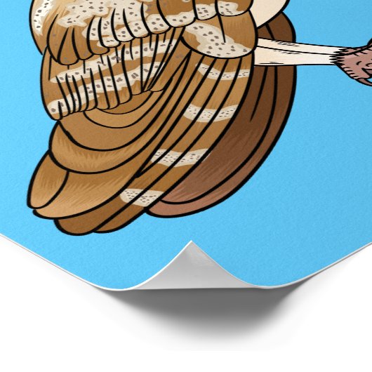 Cartoon van Barn owl Poster (Hoek)