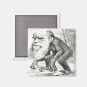 Cartoon van Charles Darwin 1871 Magneet (Voorkant / Achterkant)
