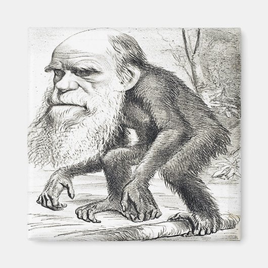 Cartoon van Charles Darwin 1871 Magneet (Voorkant)