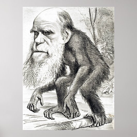 Cartoon van Charles Darwin 1871 Poster (Voorkant)