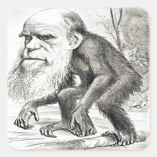 Cartoon van Charles Darwin 1871 Vierkante Sticker (Voorkant)