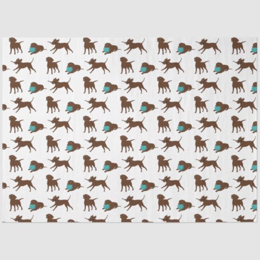 cartoon van chocoladelab tissuepapier (Voorkant)