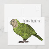 Cartoon van Kakapo Briefkaart (Voorkant / Achterkant)
