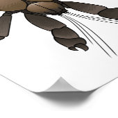 Cartoon van kokoskrabben poster (Hoek)