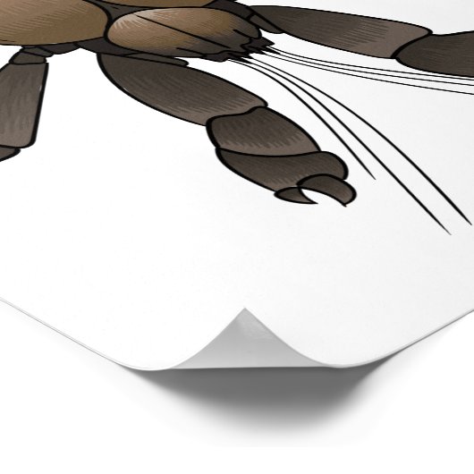 Cartoon van kokoskrabben poster (Hoek)