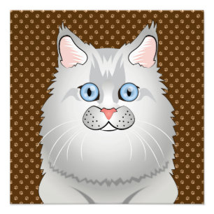 Cartoon van Perzische katten (Doll-Face) Foto Afdruk