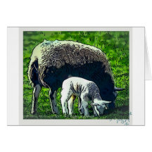 Cartoon van schapen en lammeren