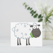Cartoon van zwarte schapen briefkaart (Staand voorkant)