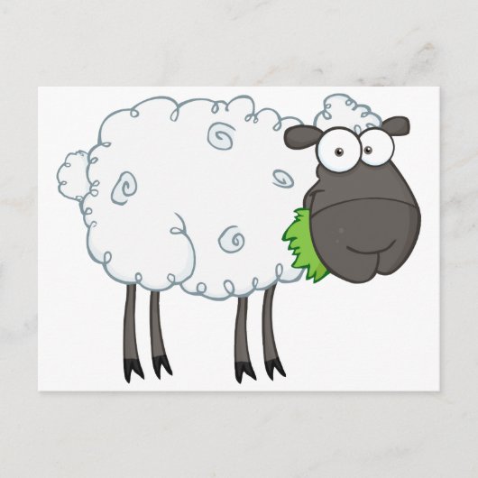 Cartoon van zwarte schapen briefkaart (Voorkant)