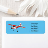 Cartoon vliegtuig etiket (Insitu)