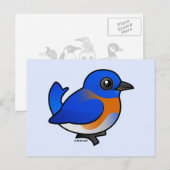 Cartoon Westerne Bluebird Briefkaart (Voorkant / Achterkant)