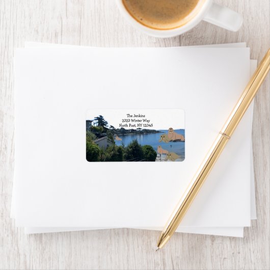 Cartoon Zee Lion and Walrus Adres Label (Insitu)